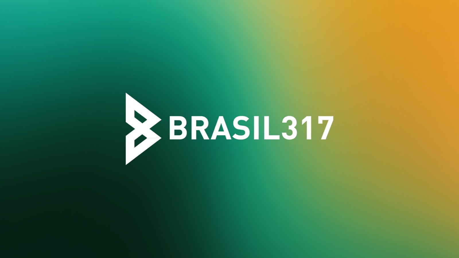 Capa do projeto Brasil 317